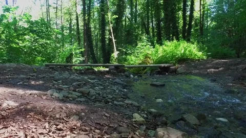 A mountain river forms a waterfall in the forest. Hike along the ecological Stock Footage 158698860