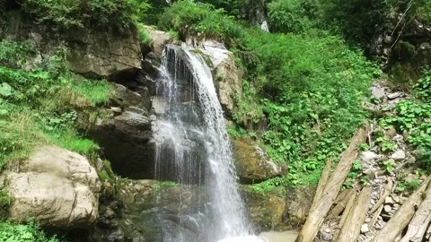 A mountain river forms a waterfall in the forest. Hike along the ecological Stock Footage 161927560