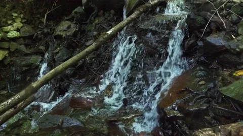 A mountain river forms a waterfall in the forest. Hike along the ecological Stock Footage 169163882