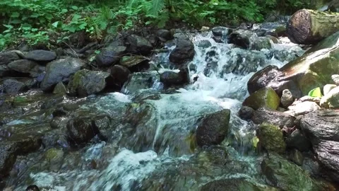 A mountain river forms a waterfall in the forest. Hike along the ecological Stock Footage 169434449