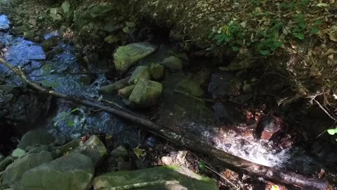 A mountain river forms a waterfall in the forest. Hike along the ecological Stock Footage 188259826