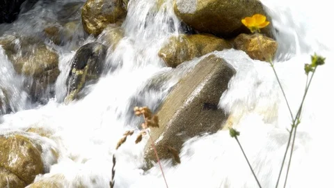 Mountain river in Georgia Vídeos de archivo 94033914