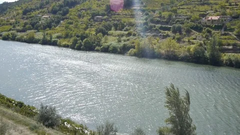 The mountain river glitters in the sun. Stock Footage 80248818