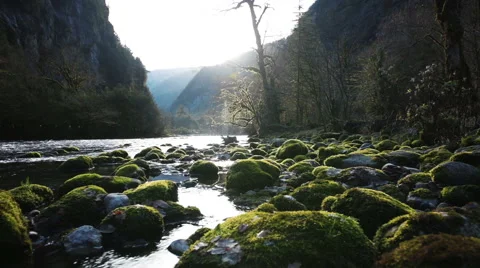Mountain River in Gorge Stock Footage 45273337