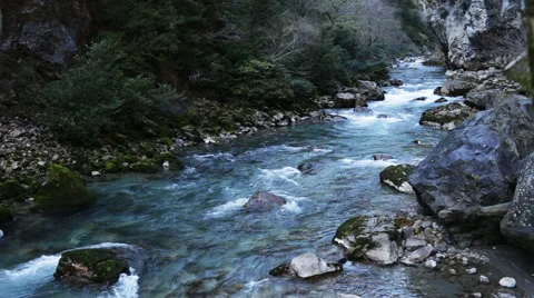 Mountain River in Gorge Stock Footage 45274925