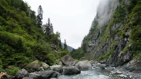 Mountain river in the gorge landscape 库存影片 88814051