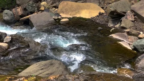 Mountain river in the gorge of the North Caucasus Stock Footage 157724913