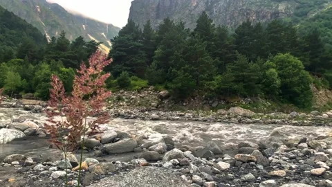 Mountain river in the gorge of the North Caucasus Stock Footage 157732736