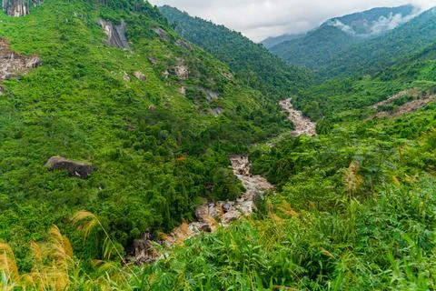 A mountain river in a gorge. 스톡 사진