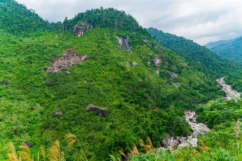 A mountain river in a gorge. Stock-Fotos