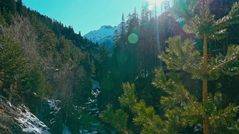 Mountain river in a green forest with snow, Sunny and blue sky Stock Footage 137592057