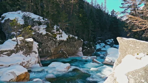 Mountain river in a green forest with snow, Sunny and blue sky Stock Footage 137592290