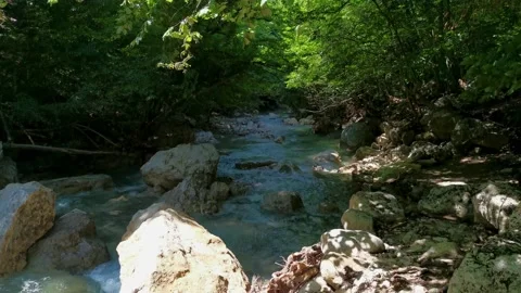 Mountain river green forest in summer. Stock-Footage 161025399