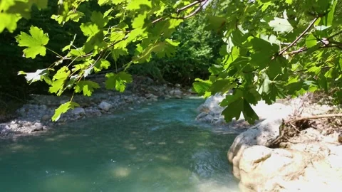 Mountain river green forest in summer Stock-Footage 161026635