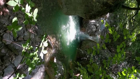 Mountain river green forest in summer. Stock Footage 166261050