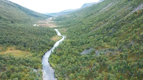 Mountain river in a green forest taken from a drone 库存影片 169239166