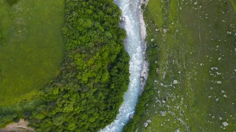 Mountain river with green trees. Stock Footage 232198841