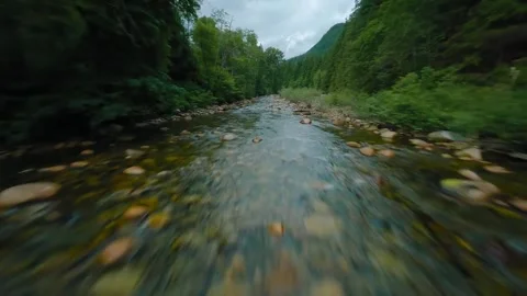 Mountain river with green trees Stock Footage 297882057
