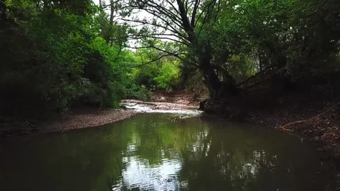 Mountain river in a green valley Stock Footage 169872609