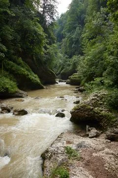 Mountain river, Greenery, wet rocks, rocks and rainforest, summer forest Stock Photos