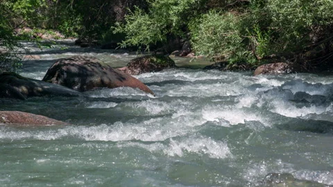 Mountain River Hidden in the Bush HD Stock Footage 238989641