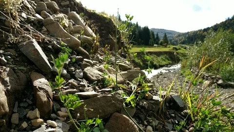 Mountain river with high stone bank slope. 動画素材 99339355