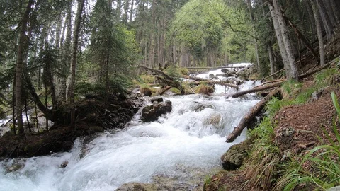 Mountain river immediately after the waterfall Stock Footage 109344770