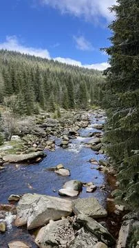 Mountain river Jizera flowing through the Jizera Mountains in the Czech Rep.. Stock Photos