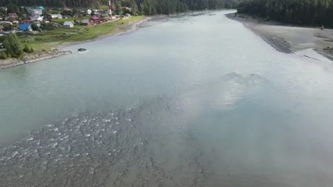 Mountain river Katun and forest in Altai Video stock 161729258