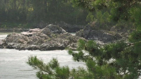 Mountain river Katun Video stock 824073