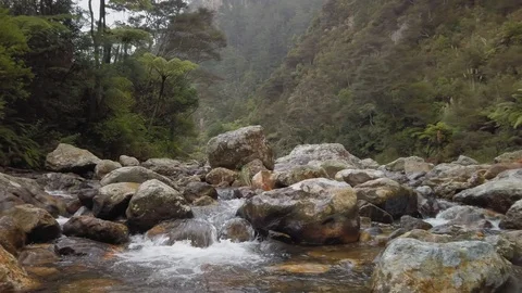 Mountain river landscape Stock Footage 112786733