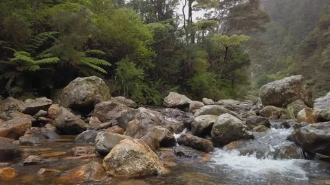Mountain river landscape Stock Footage 112786848