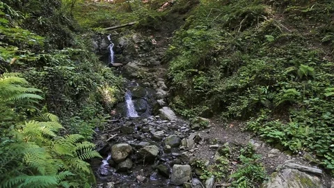 Mountain River Landscape of Nature Stock Footage 81543924
