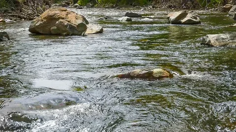Mountain River Landscape of Nature, Stream, Creek Stock Footage 90588366