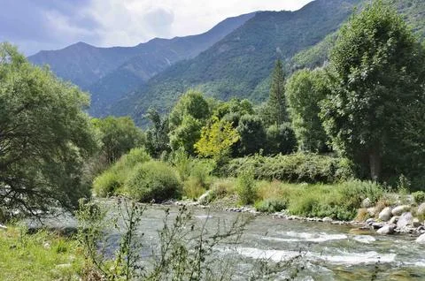 Mountain River Landscape Stock Photos