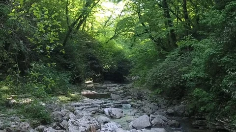 Mountain river with large stones in the shadow of the crowns of trees. Myster Video stock 86430569