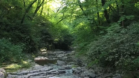 Mountain river with large stones in the shadow of the crowns of trees. Video stock 86431149