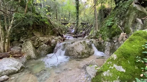 Mountain river in Les Cévennes Video stock 345360342