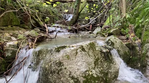 Mountain river in Les Cévennes Video stock 345361260