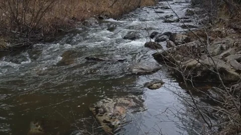 Mountain river with low rapids flows inside a forest in fall Video stock 169883527