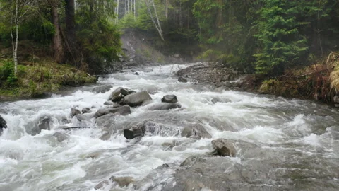 Mountain river with low rapids flows inside mysterious forest. Aerial. Stock Footage 200204176