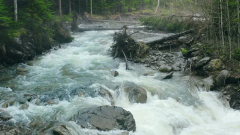 Mountain river with low rapids flows inside mysterious forest. Aerial. Stock Footage 200204268