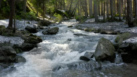 Mountain river with low rapids spring meltwater flows inside mysterious forest. Stock Footage 201263128
