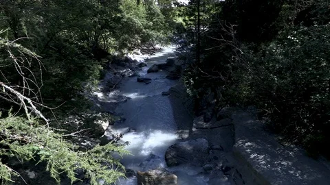 A Mountain river meanders through the forrest Stock Footage 114823675