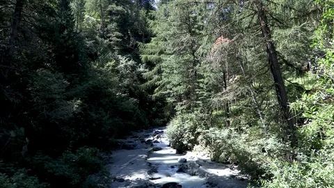 A Mountain river meanders through the forrest Stock Footage 114823779