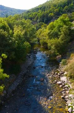 Mountain river in the middle of the forest Stock Photos
