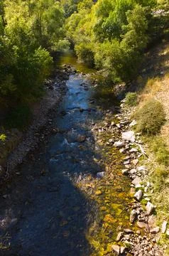 Mountain river in the middle of the forest Stock Photos
