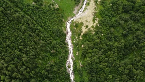 Mountain river in the middle of greenery and trees Stock Footage 233519777