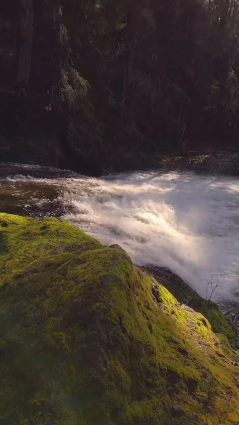 Mountain river in the morning Stock Footage 273975686