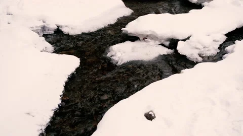 Mountain river. The mountain river flows breaking the ice. Stock Footage 154332548
